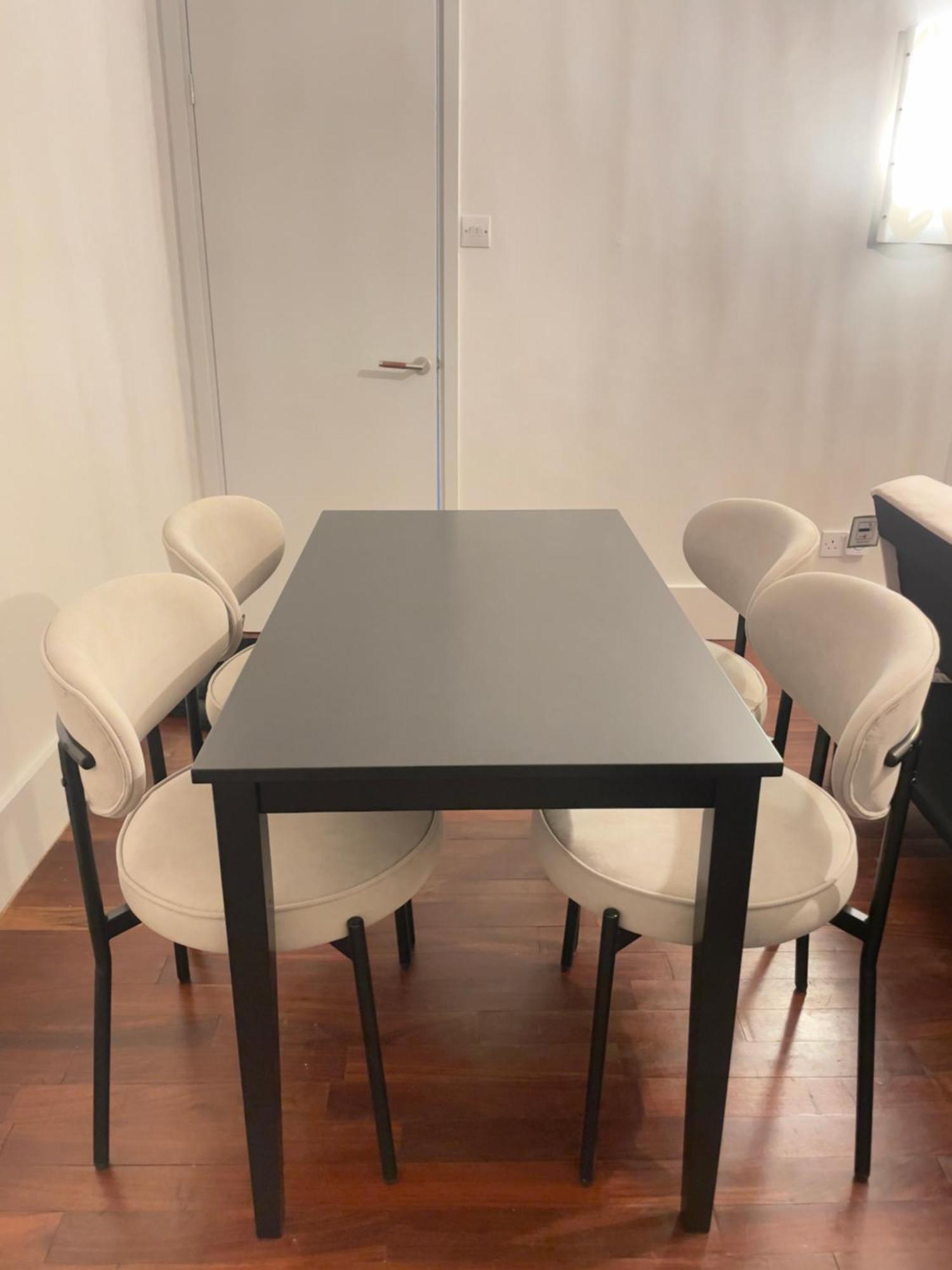 Great Value London Apartment With Garden In Tufnell Park Near Emirates Stadium And 10 Mins To Kings Cross Dış mekan fotoğraf